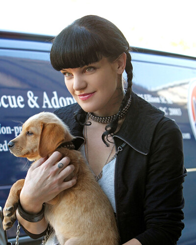 Perrette pauley 8x10 - perrette,,