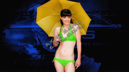 Pauley perrette photo ncis - perrette,