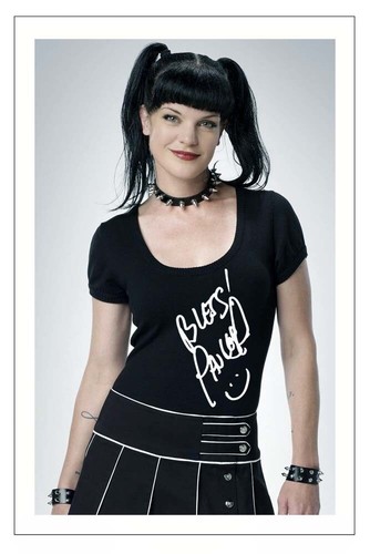 Pauley perrette signed - perrette,