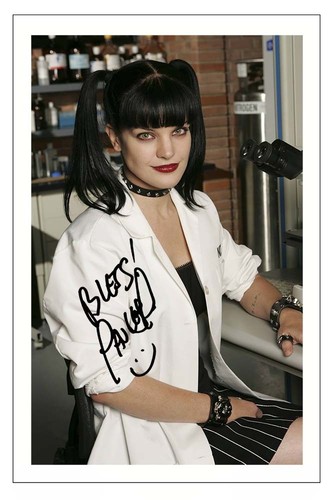 Pauley perrette ncis signed - pauley,