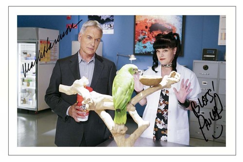 Mark harmon pauley - mark,