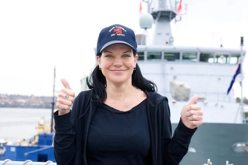 Pauley perrette amazing 8x10 - pauley,