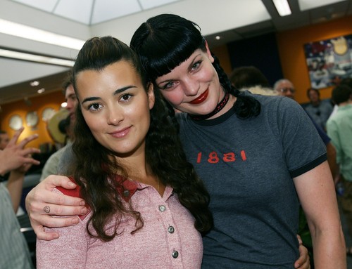 Photo pauley perrette - perrette, and