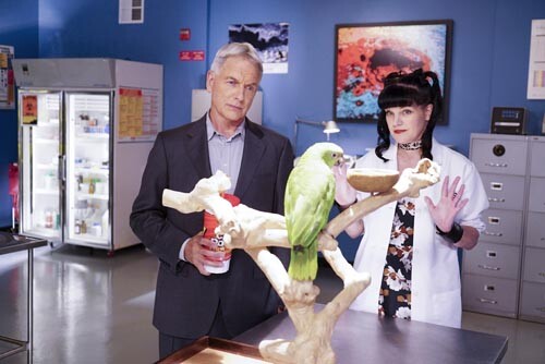 Ncis pauley perrette mark - ncis, perrette/mark