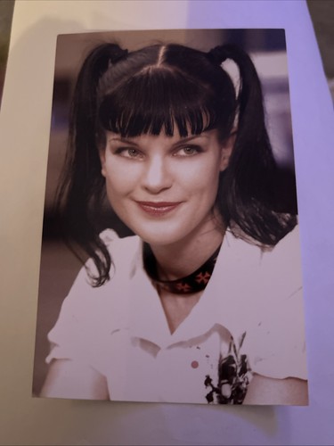 Photograph pauley perrette - photograph,