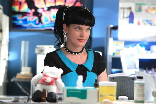 Pauley perrette ncis 8x10 - perrette,