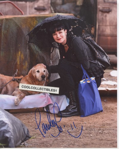 Pauley perrette ncis in - , of