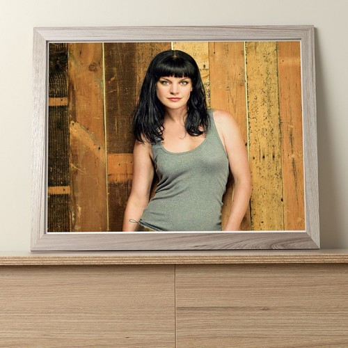 Pauley perrette x8 - perrette, :